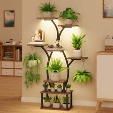 Tier indoor plant for sale  Cleburne