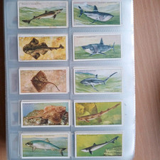 players cigarette cards for sale players cigarette cards for sale BRISTOL