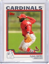 Calvin hayes 2004 for sale  Woodbine
