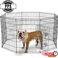 Underdog panel pet for sale  BOSTON