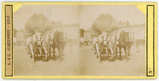 Stereo horse cart d'occasion  Expédié en Belgium
