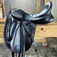 17.5 cardhu dressage for sale  West Palm Beach