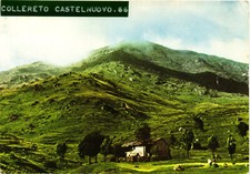 Sant elisabetta colleretto usato  Stella