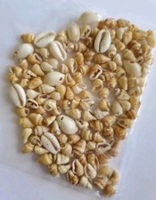 Drilled shell beads for sale  DONCASTER