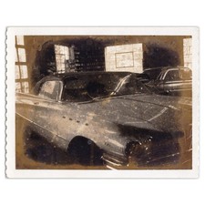 Speckled faded 1960s for sale  Portland