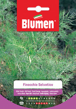 Blumen. finocchio selvatico usato  Italia