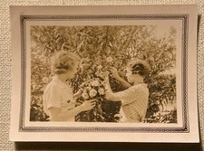 Vtg photo 1930s for sale  Sanford