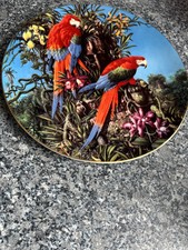 Macaw wedgewood plate for sale  BOLTON