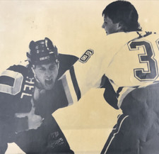1993 mighty ducks for sale  Costa Mesa