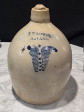 Rare brewer havana for sale  Swansboro