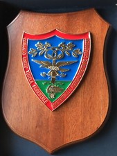 Crest carabinieri tutela usato  Imola