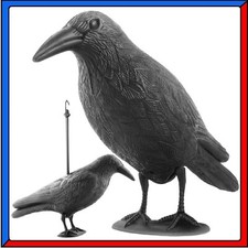 Corvo finto spaventapasseri usato Corvo finto spaventapasseri usato  Torino