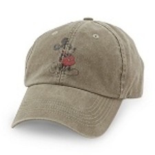 Walt disney parks for sale  Piscataway