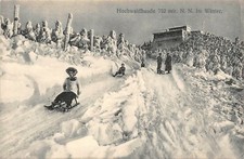 Rodelbahn hochwaldbaude 752 gebraucht kaufen  Lengenfeld