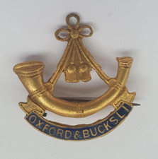 Oxford buckinghamshire light for sale  PRESTON