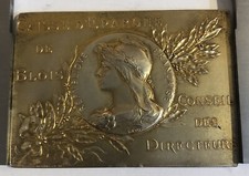 MÉDAILLE PLAQUE EN ARGENT DORÉ ROTY SILVER MEDAL ART ROTY POIDS 91,6 g comprar usado  Enviando para Brazil