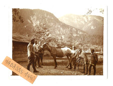 K.u.k.   zdjęcie , Bartolo , Włochy , konie , 1916 , maszynka do strzyżenia włosów , TOP na sprzedaż  PL