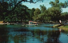 Cartão postal ME Portland Duck House Deering Oaks publicado cromado antigo PC L2941, usado comprar usado  Enviando para Brazil