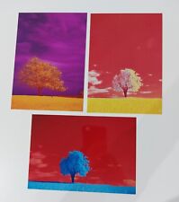 Bunte bäume bilder gebraucht kaufen  Celle