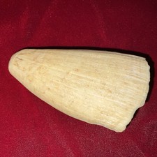 Large vintage scrimshaw for sale  Loxahatchee