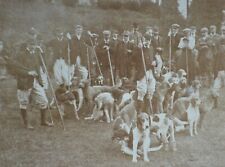 Stereoview photo otter for sale  ST. ALBANS