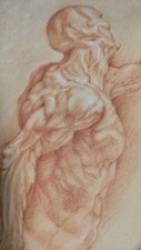 Copia antico disegno usato  Torino