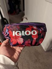Igloo seaside fanny for sale  Spokane