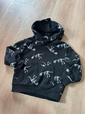 Hoodie pulli jungen gebraucht kaufen  Dresden