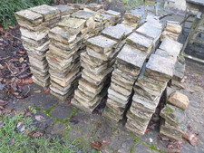 Fossil mint sandstone for sale  CIRENCESTER