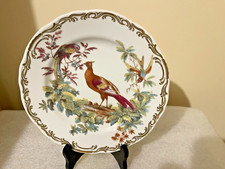 Exotic birds salad for sale  Bonita Springs