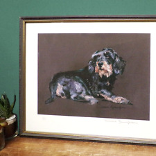 Wire haired dachshund for sale  LONDON