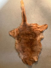 Genuine australian tanned for sale  Portland