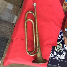 Nice old boy for sale Nice old boy for sale  Albuquerque