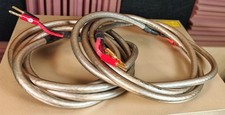 Rare shark wire for sale  MANCHESTER