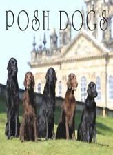 Posh dogs country for sale  UK