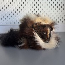 skunk hat for sale skunk hat for sale Taylors