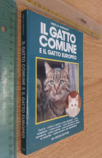 Amelia murante gatto usato  Torino