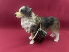 Australian shepherd brown for sale  San Jose