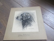 Dessin chasse chien d'occasion  Paris XI