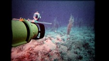 Film atlantis jacques usato  Firenze