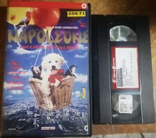 Vhs napoleone cucciolo usato  Civitavecchia