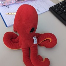Splash octopus nature for sale  NORWICH