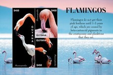 Guiana 2020 - Flamingos - Pássaros - Folha de 3 selos - Scott #4636 - MNH comprar usado  Enviando para Brazil