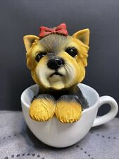 Yorkshire terrier teacup for sale  Cleveland