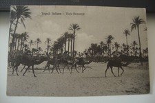 Cartolina viaggiata 1912 usato  Torino