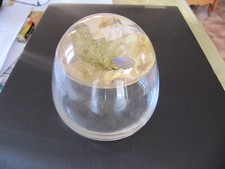 Boite verre fleurs d'occasion  Limay