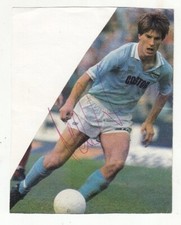 Autografo michael laudrup usato  Settimo Torinese