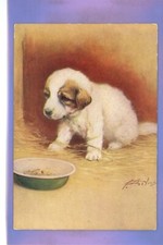 Early reszke pyrenean for sale  THETFORD