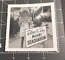 aquarium diver for sale aquarium diver for sale Orlando