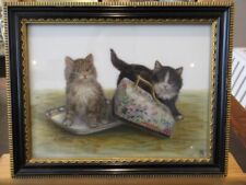 Kittens cats oil for sale  WIRRAL